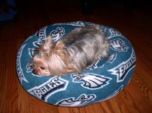 Havenly Pup Beds