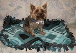Havenly Pup Blankets